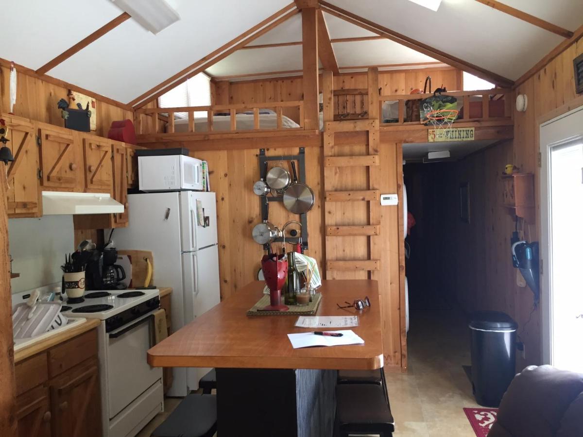 Cozy Cabin On The Bayou Maurepas المظهر الخارجي الصورة