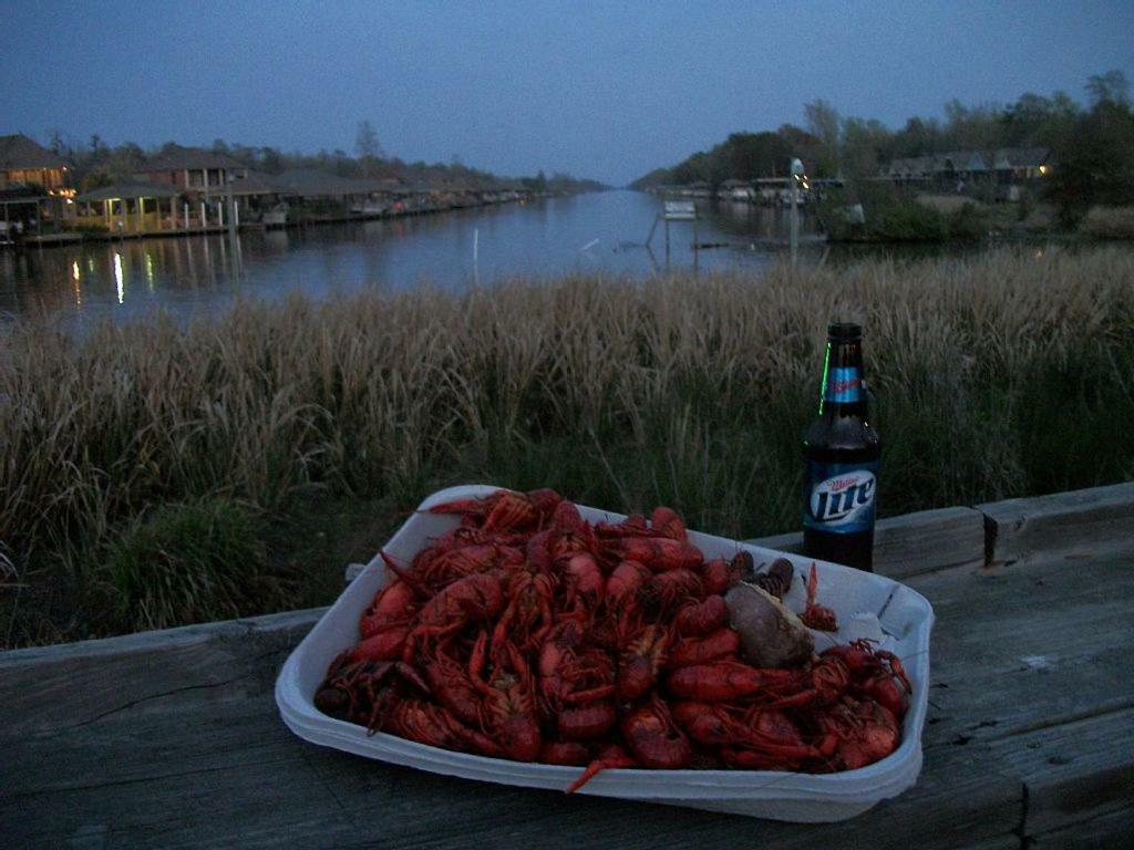 Cozy Cabin On The Bayou Maurepas المظهر الخارجي الصورة